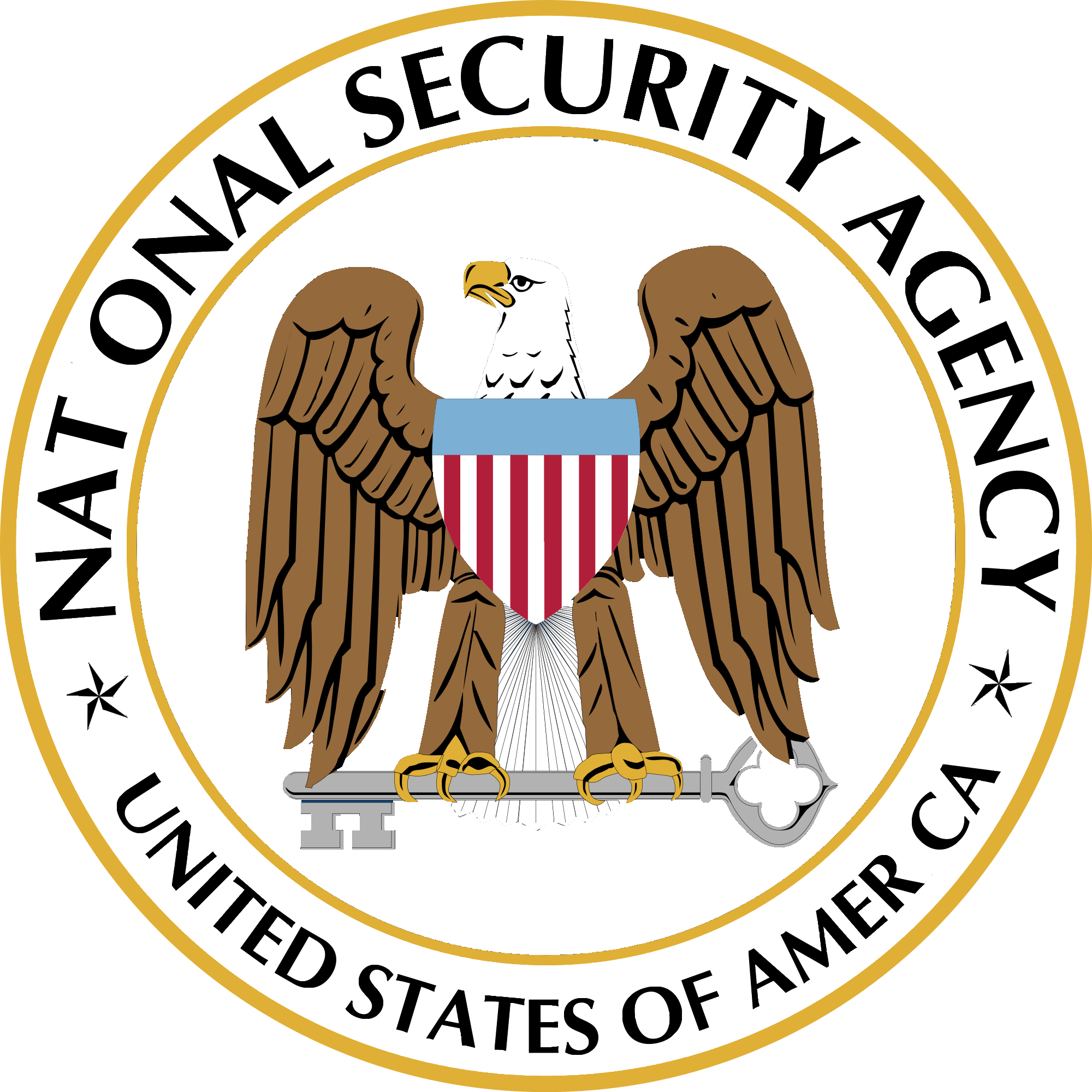 NSA Logo